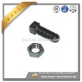 China fastener supplier square bolt and nut